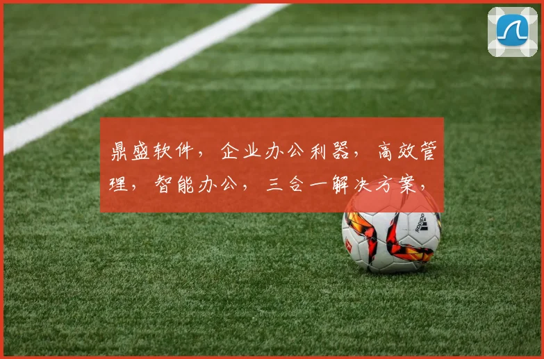 鼎盛软件，企业办公利器，高效管理，智能办公，三合一解决方案，助力企业腾飞