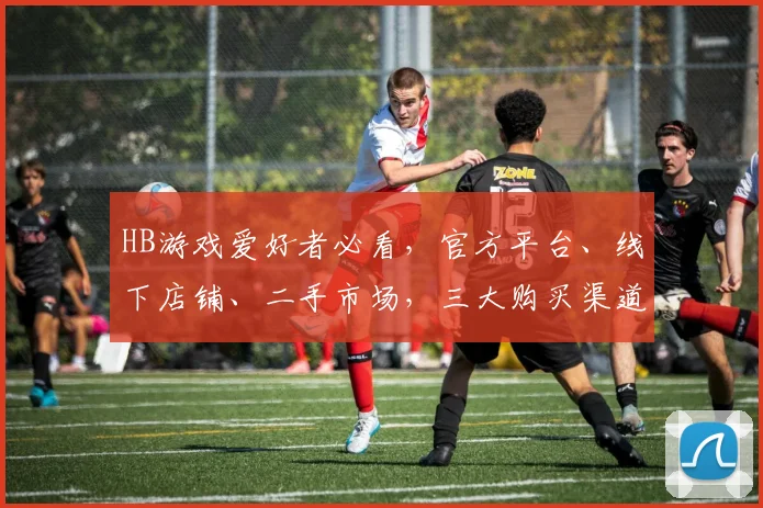 HB游戏爱好者必看，官方平台、线下店铺、二手市场，三大购买渠道，一网打尽